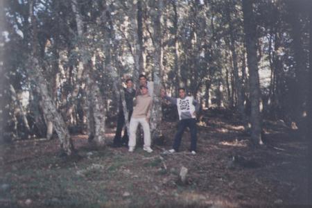la foret de  azrou